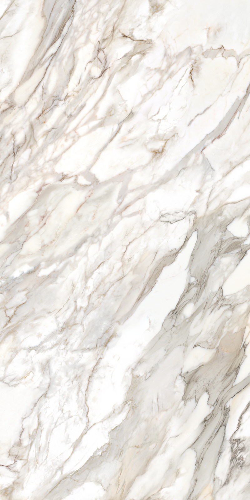 Calacatta Oro 12 Slab 6mm R 8