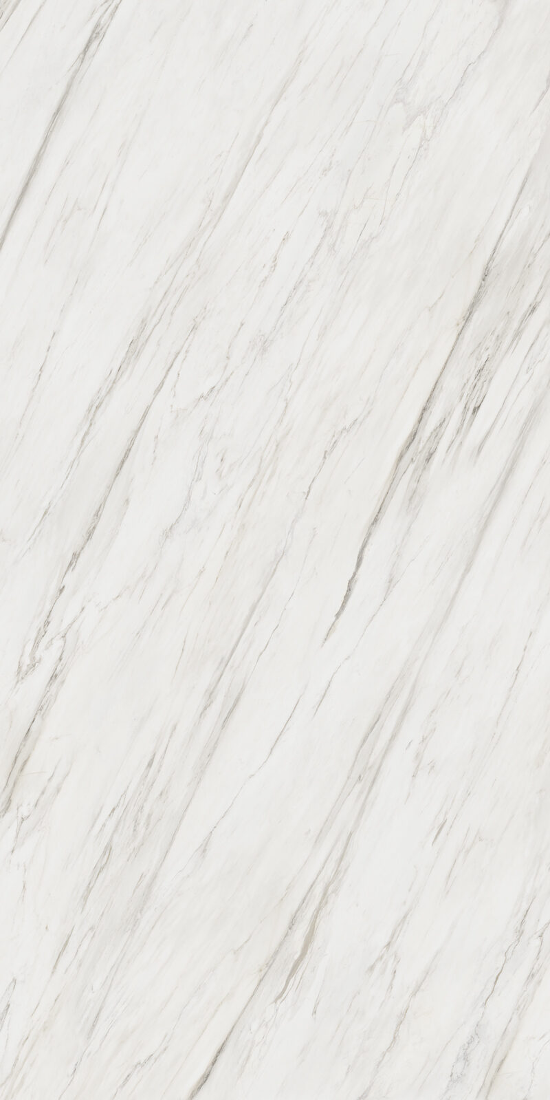 Calacatta Cremo 12 Slab 6mm R 1