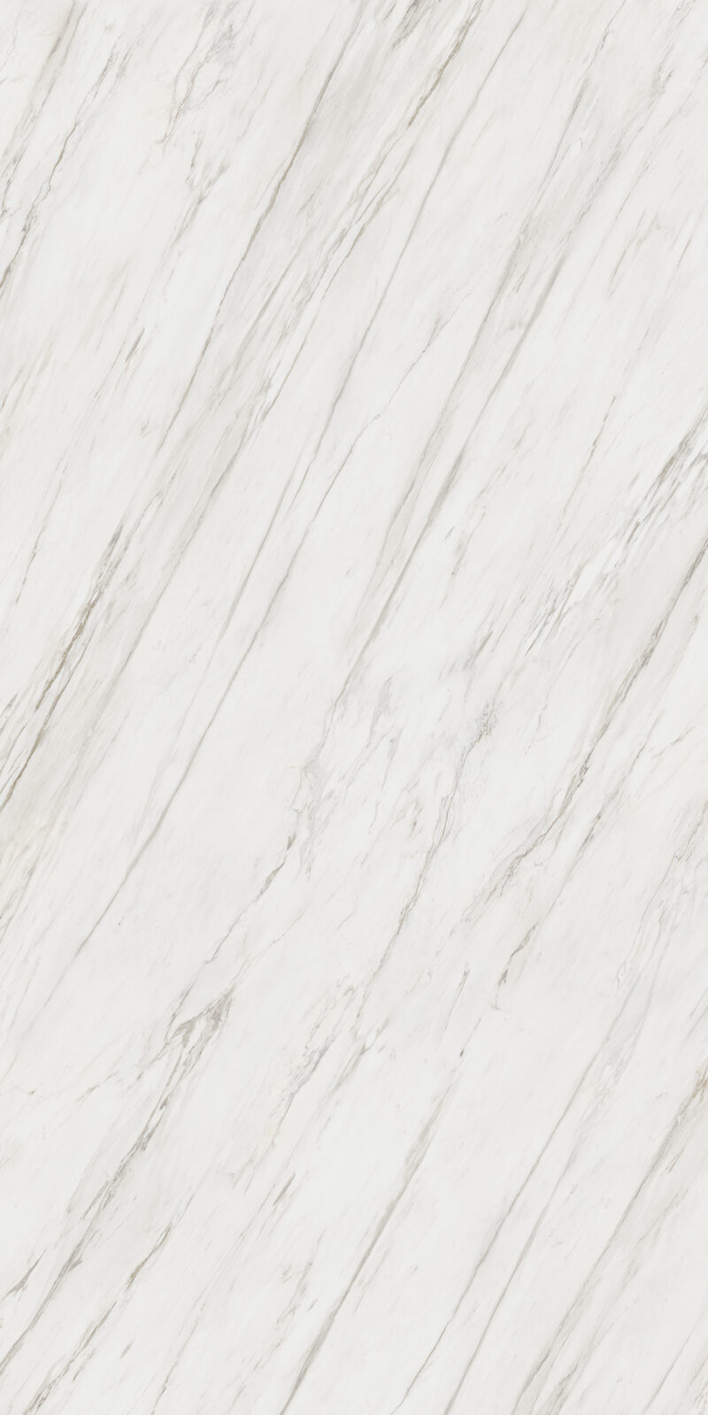 Calacatta Cremo 12 Slab 6mm R 2