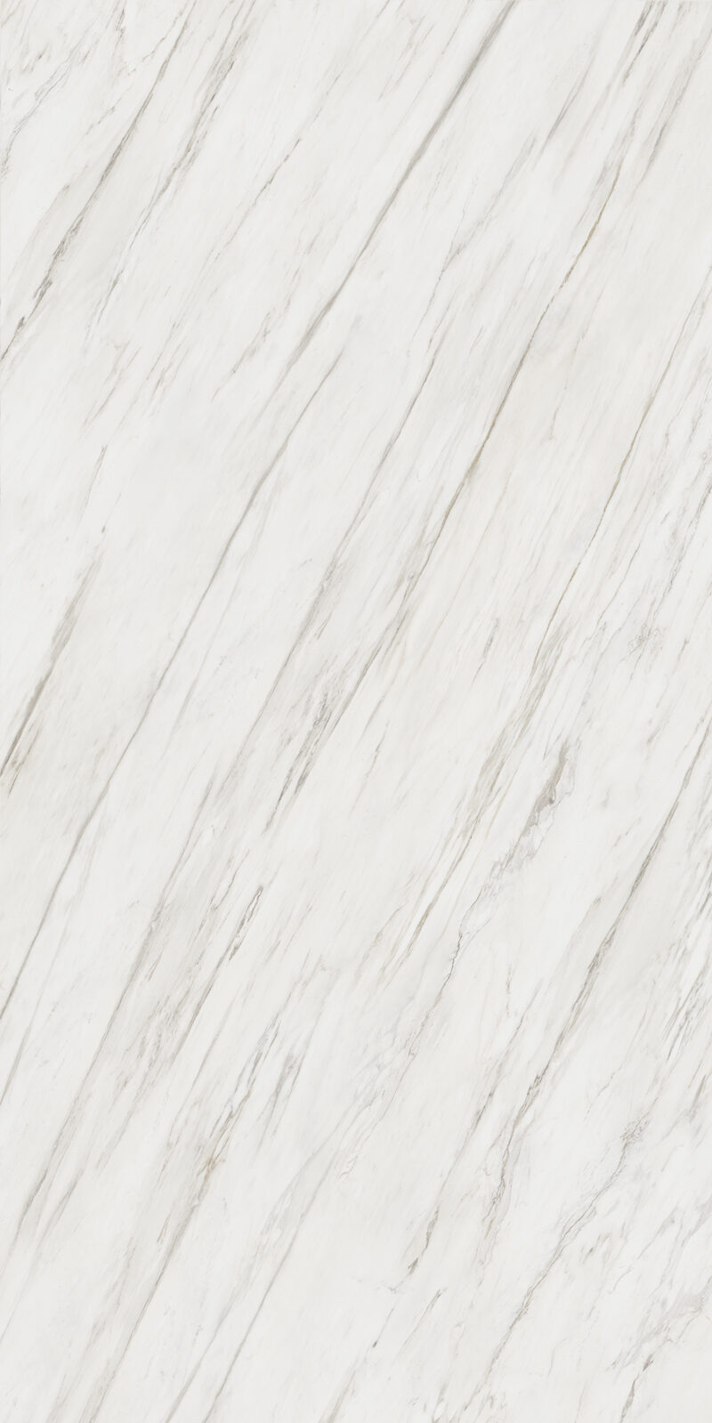 Calacatta Cremo 12 Slab 6mm R 5