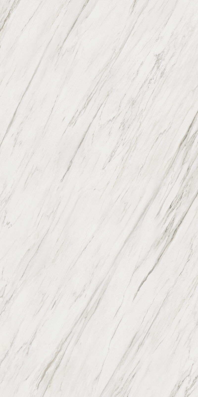 Calacatta Cremo 12 Slab 6mm R 8