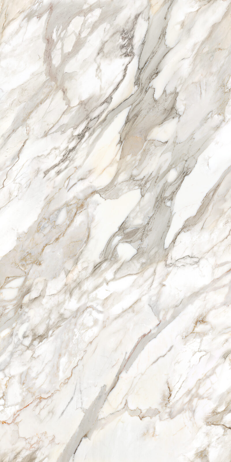 Calacatta Oro 12 Slab 6mm R 2