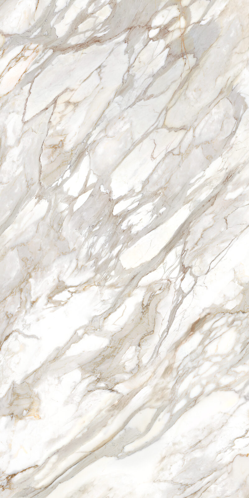 Calacatta Oro 12 Slab 6mm R 4