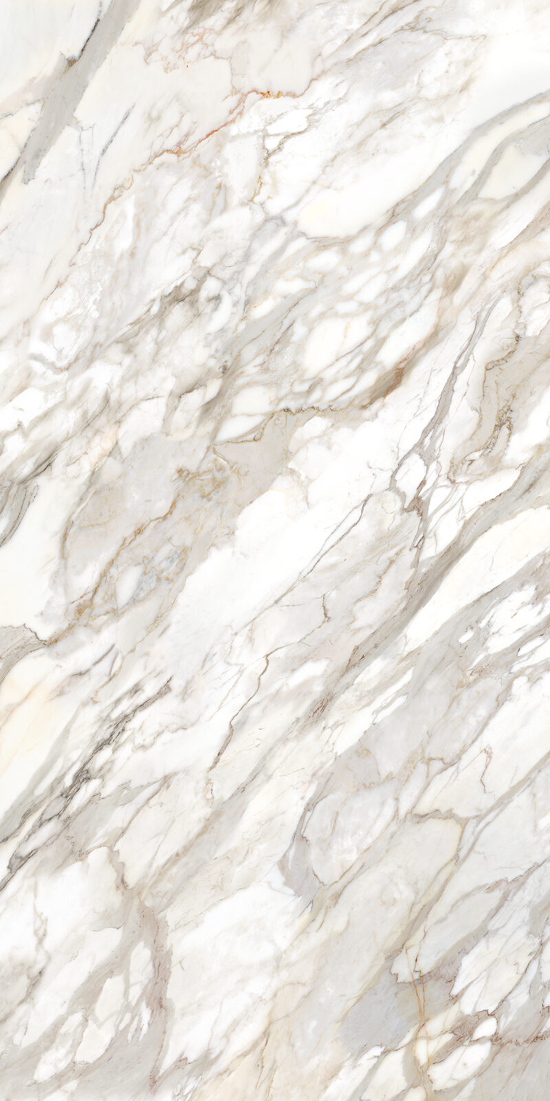 Calacatta Oro 12 Slab 6mm R 5