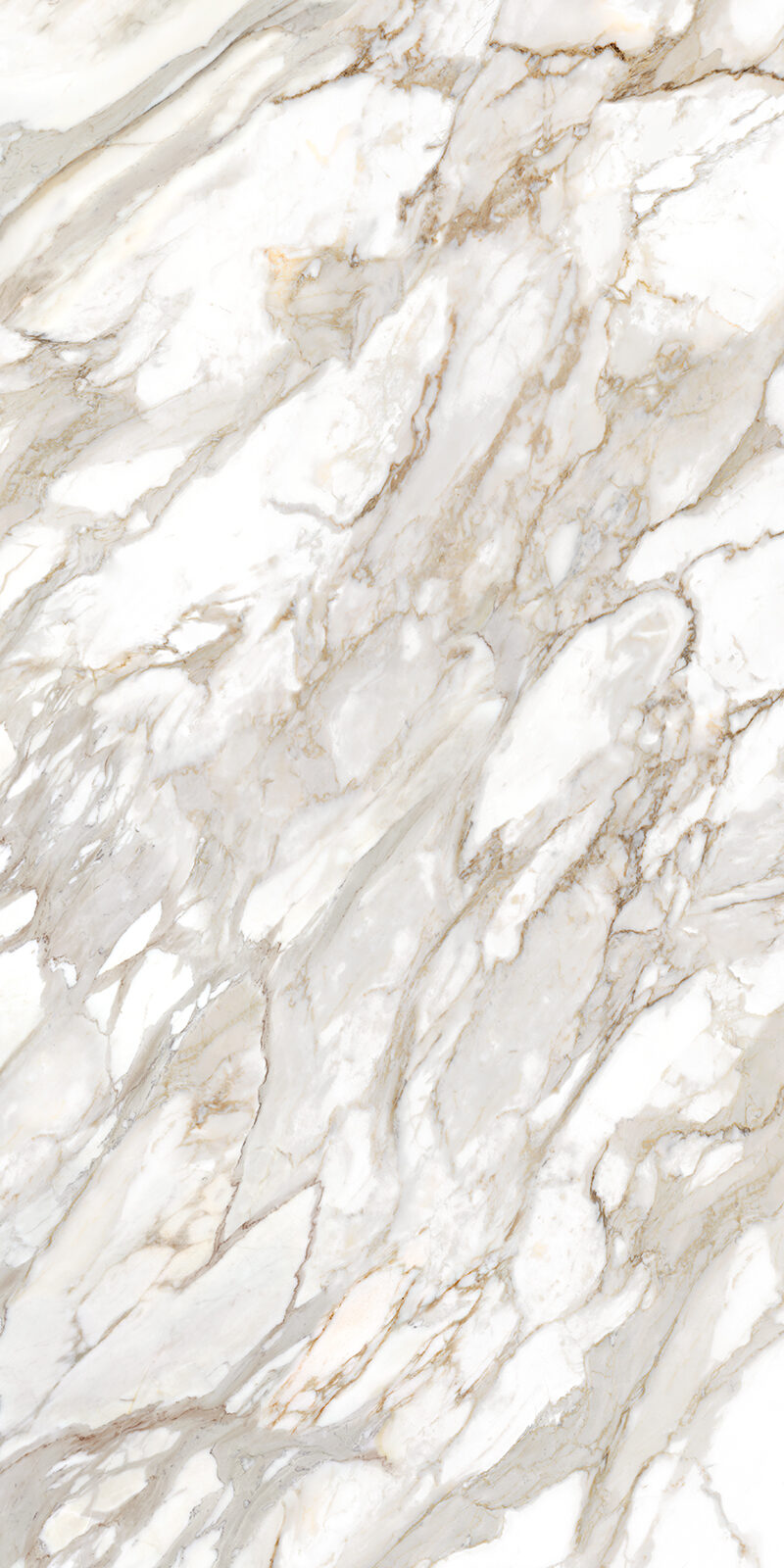 Calacatta Oro 12 Slab 6mm R 7