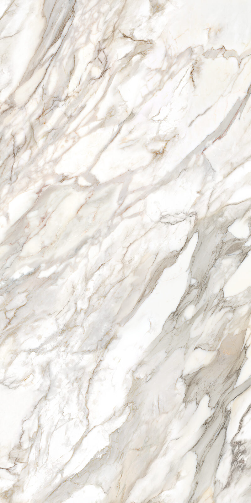 Calacatta Oro 12 Slab 6mm R 8